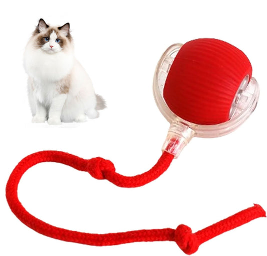 celery-pets-rechargeable-powered-automatic-rolling-ball-cat-play-toy